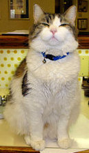 20070726214555-ctmpphphqbywq.jpg