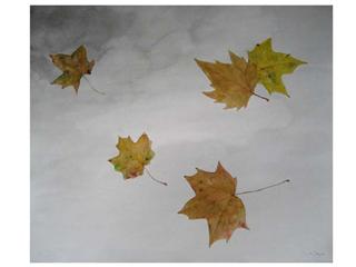20080117212526-getattachment.jpg